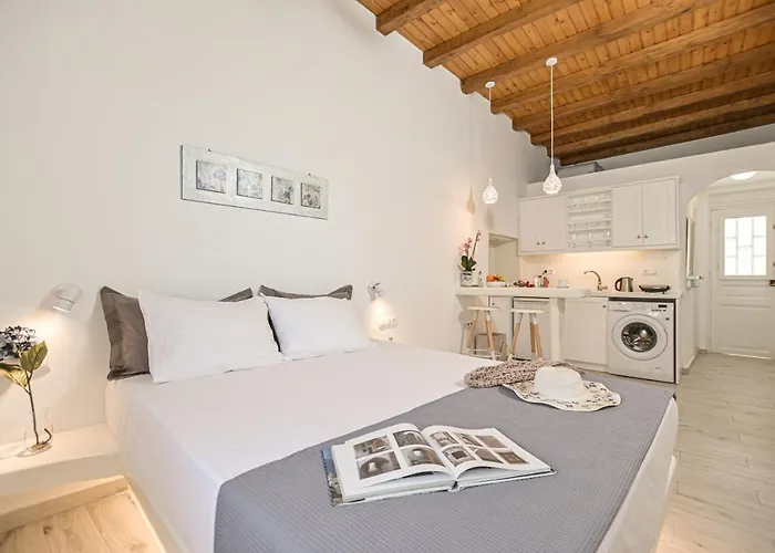 Venetian 3 Appartement Naxos City